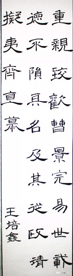 640.webp (45).jpg?v=1764880113128