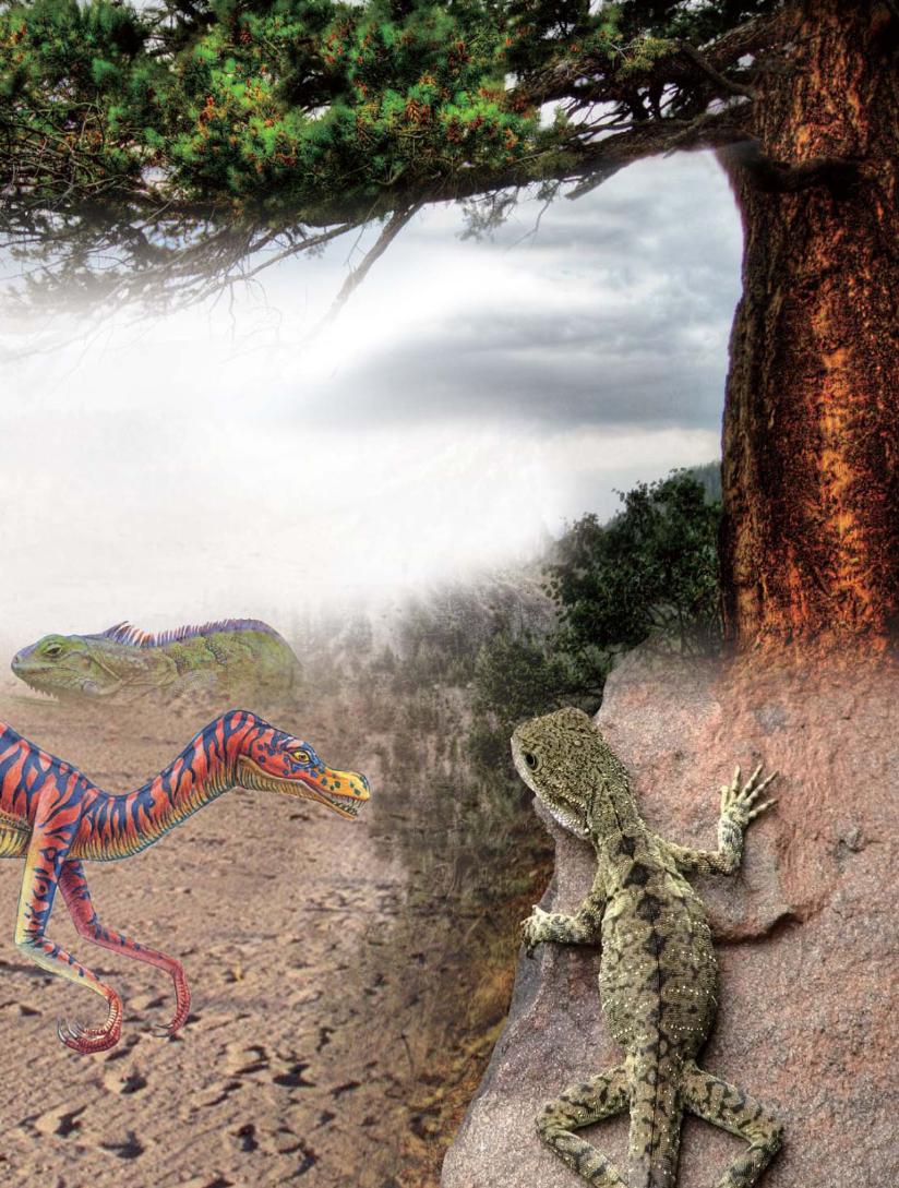 pagenumber_ebook=134,pagenumber_book=123