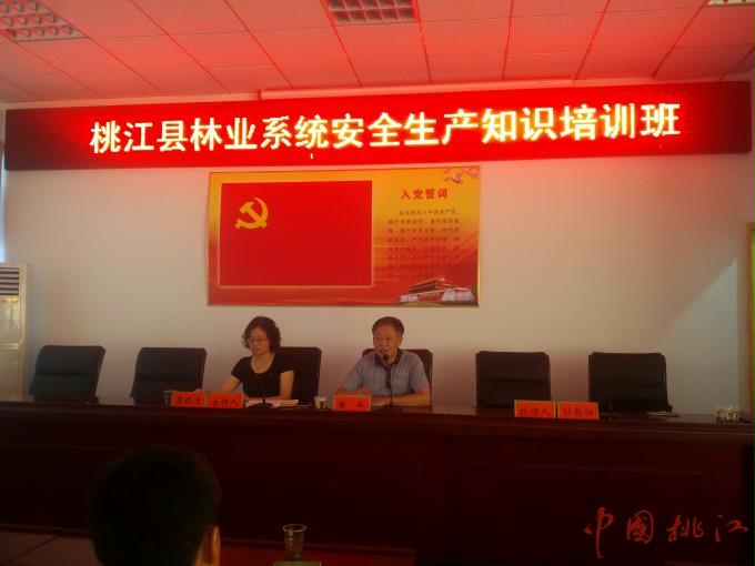 2.jpg?v=1765858777630