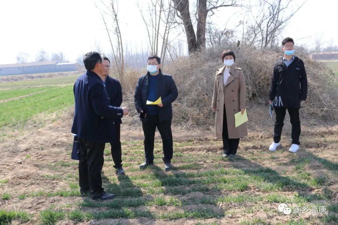 微信图片_20220309090013 微信图片_20220309090013.jpg