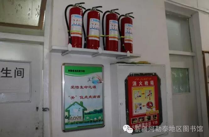 12.jpg?v=1765862843679