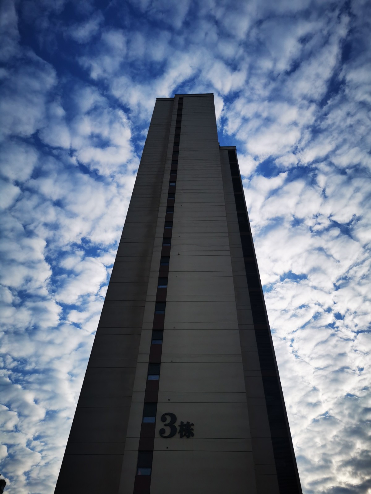 直立云端 邵亚丽