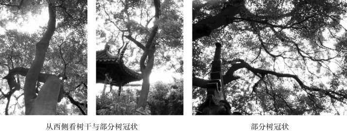 pagenumber_ebook=146,pagenumber_book=146