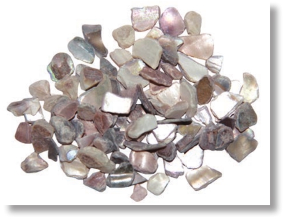 pagenumber_ebook=234,pagenumber_book=221