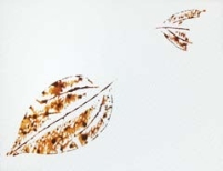 pagenumber_ebook=172,pagenumber_book=172