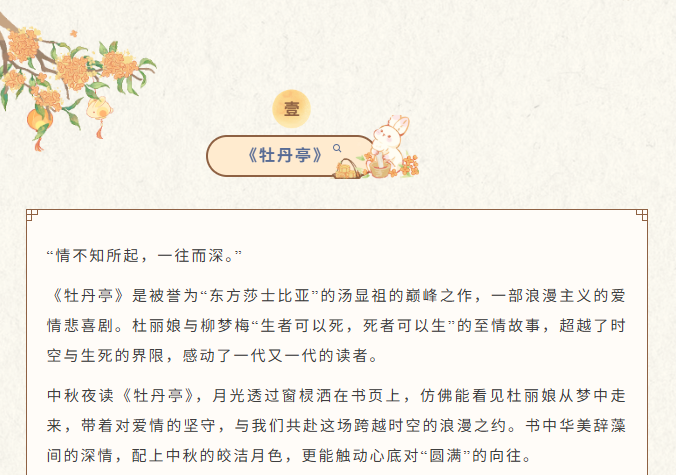 image.png?v=1762100154526