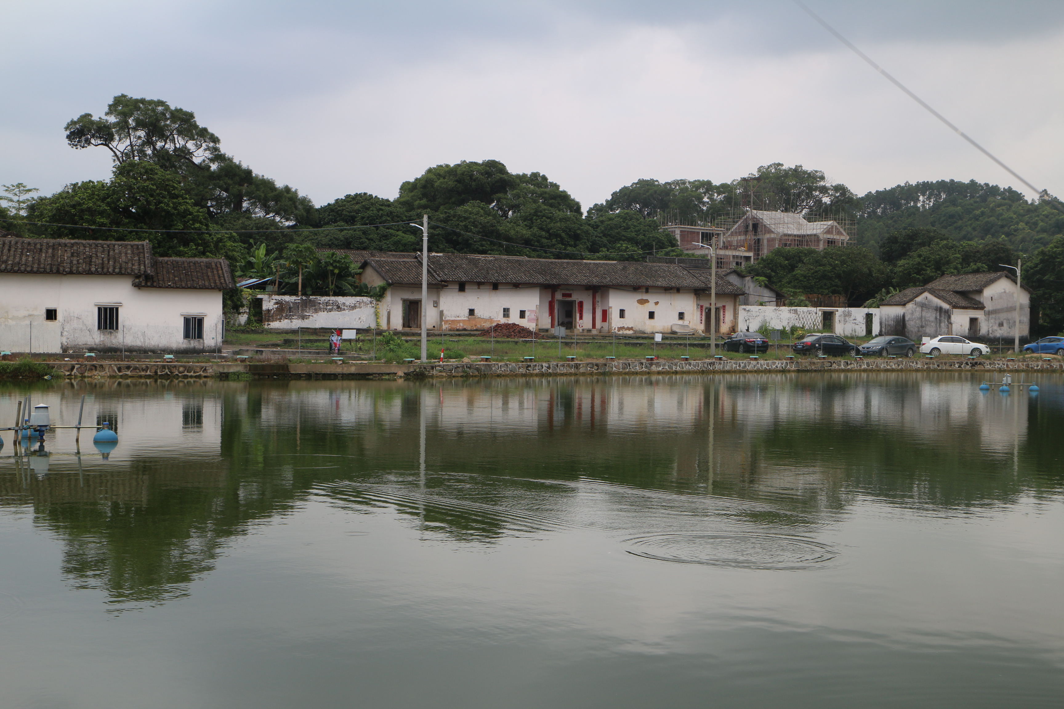 大塘面1 大塘面1.jpg