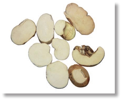 pagenumber_ebook=208,pagenumber_book=195