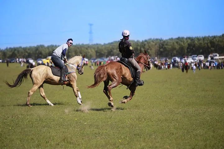 微信图片_20230904104503 微信图片_20230904104503.jpg