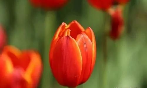 微信图片_20210329153257 微信图片_20210329153257.jpg