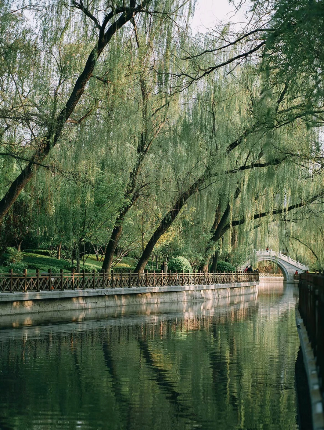 e3587917ceef939100a55ada95baaa65_640_wx_fmt=png&wxfrom=5&wx_lazy=1&wx_co=1 e3587917ceef939100a55ada95baaa65_640_wx_fmt=png&wxfrom=5&wx_lazy=1&wx_co=1.png