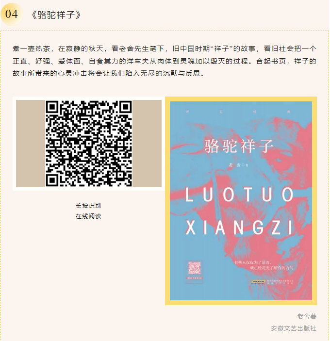 image image.png?v=1763579420491