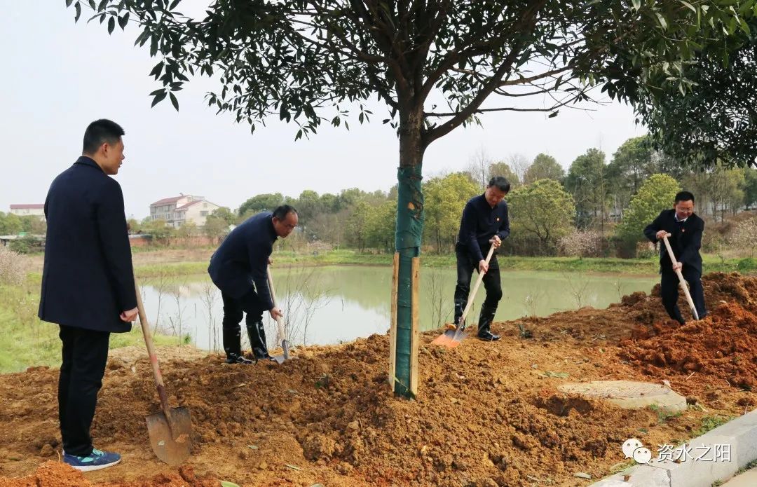 3 3.jpg?v=1765880648353