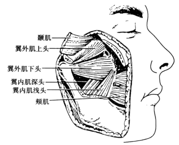 pagenumber_ebook=73,pagenumber_book=64