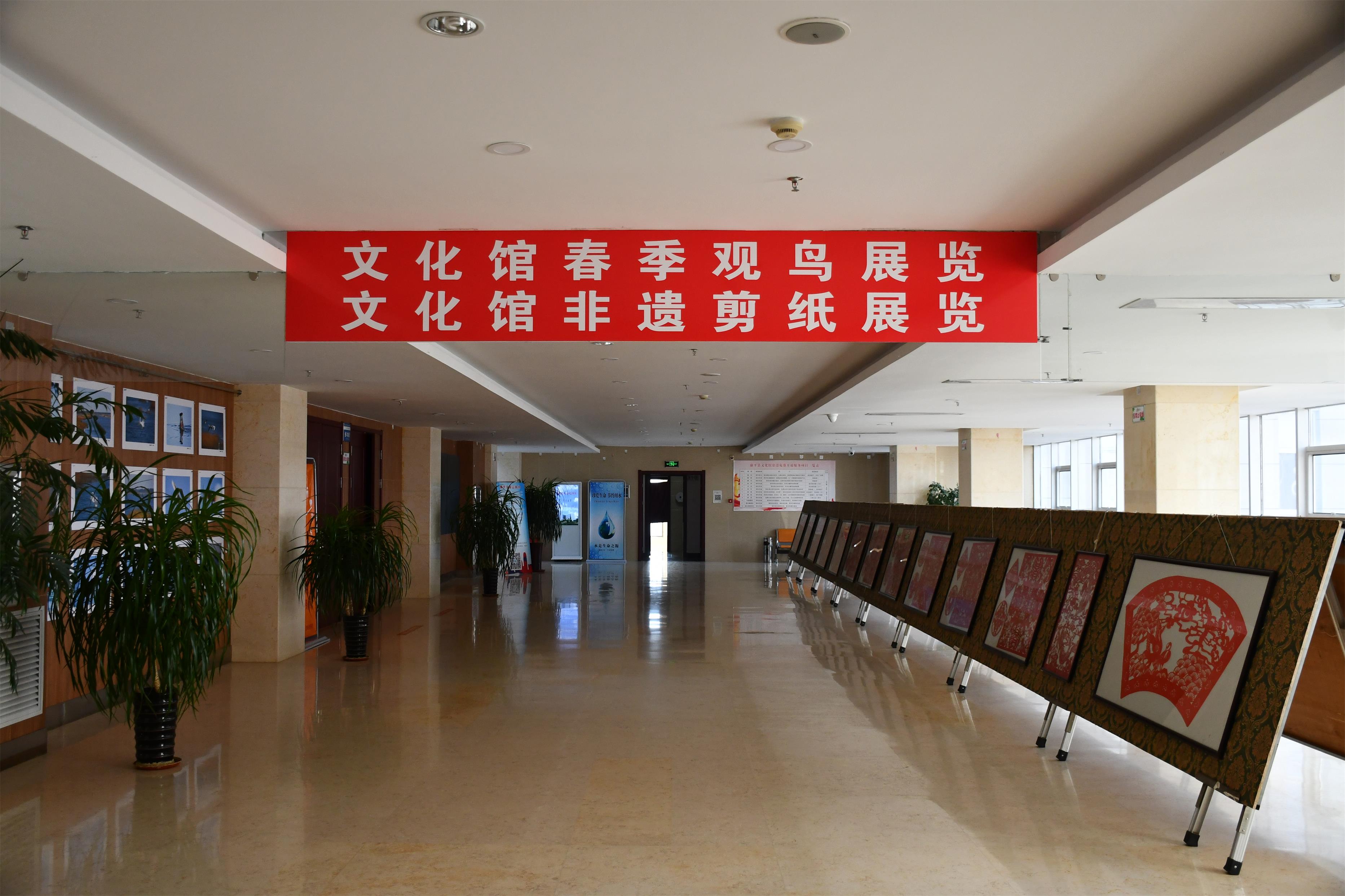 DSC_2994 DSC_2994.jpg