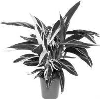 pagenumber_ebook=253,pagenumber_book=253