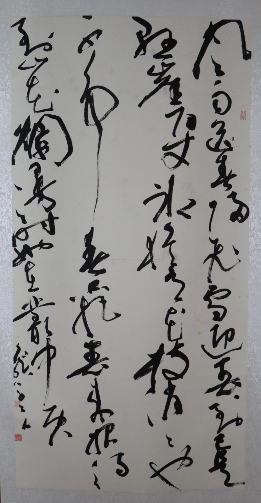 金名龙(贵州省麻江县) 金名龙(贵州省麻江县).jpg?v=1762795629393