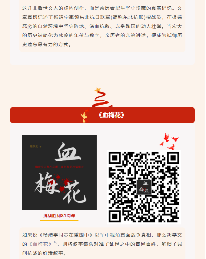 image.png?v=1788858039197