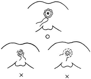 pagenumber_ebook=161,pagenumber_book=146