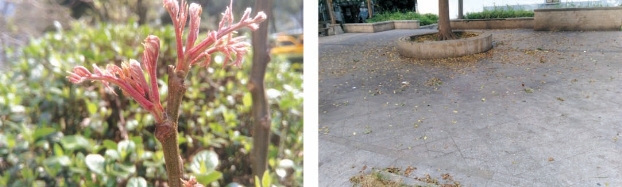 pagenumber_ebook=60,pagenumber_book=52