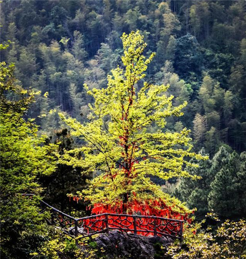 微信图片_20201129213720 微信图片_20201129213720.png