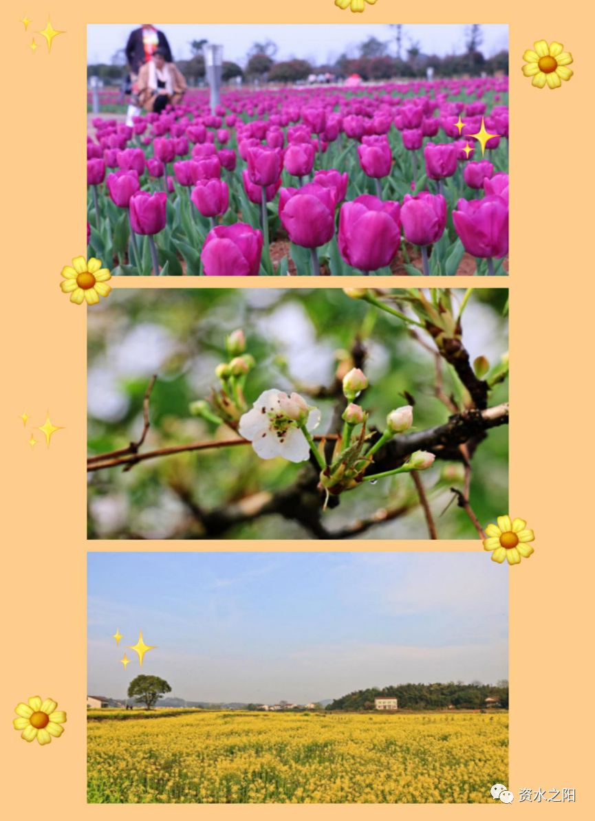 4 4.jpg?v=1765947536625