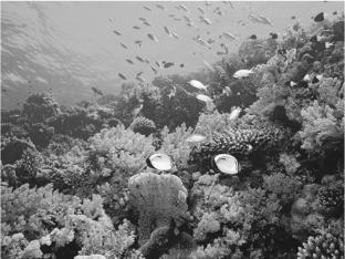 pagenumber_ebook=122,pagenumber_book=112