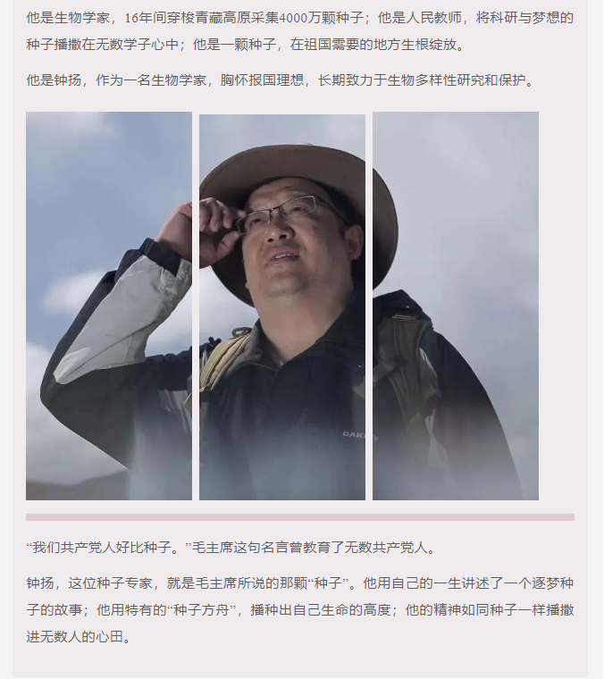 image.png?v=1750227288735