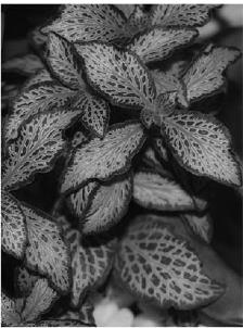 pagenumber_ebook=273,pagenumber_book=273