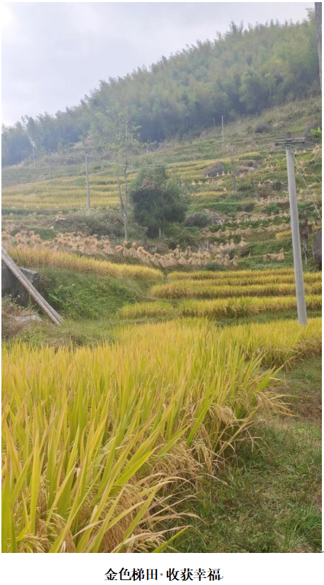 1732351606747 1732351606747.png