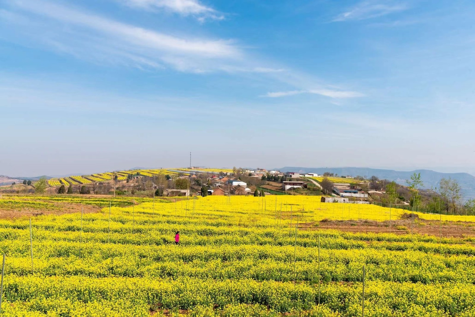 微信图片_202206241159012 微信图片_202206241159012.jpg