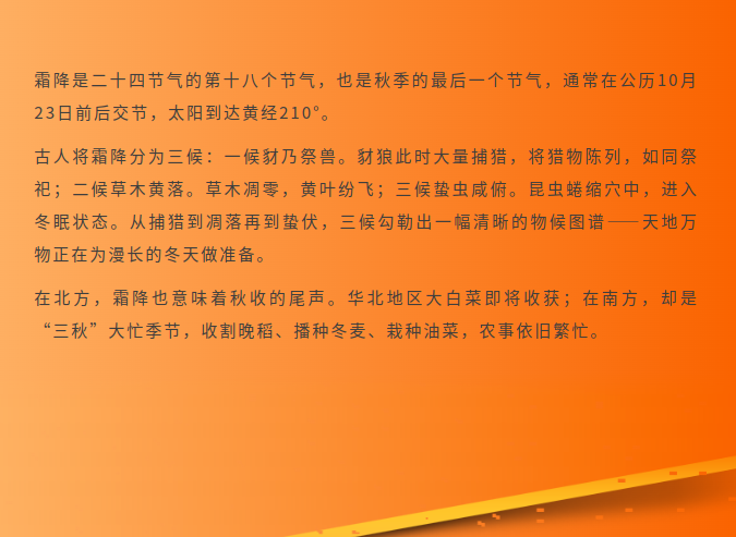 image.png?v=1792916092605