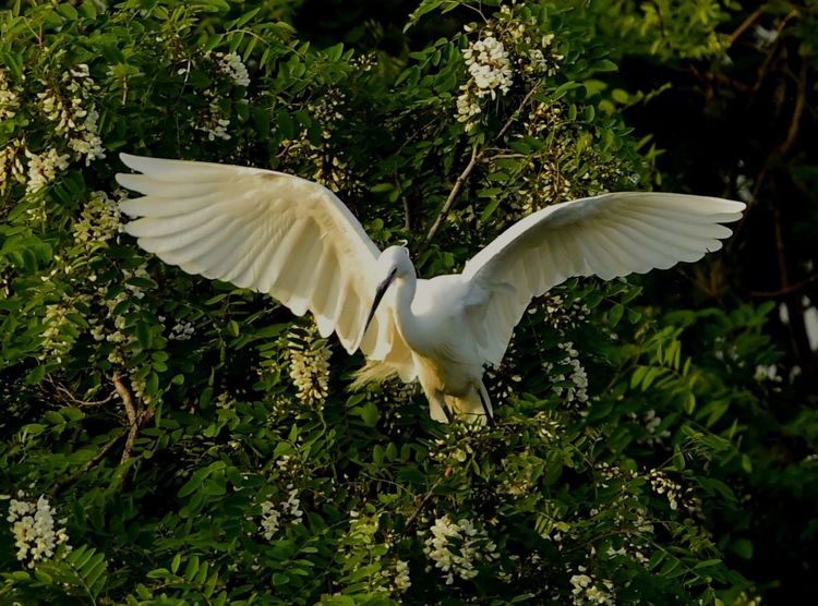 微信图片_20210506095033