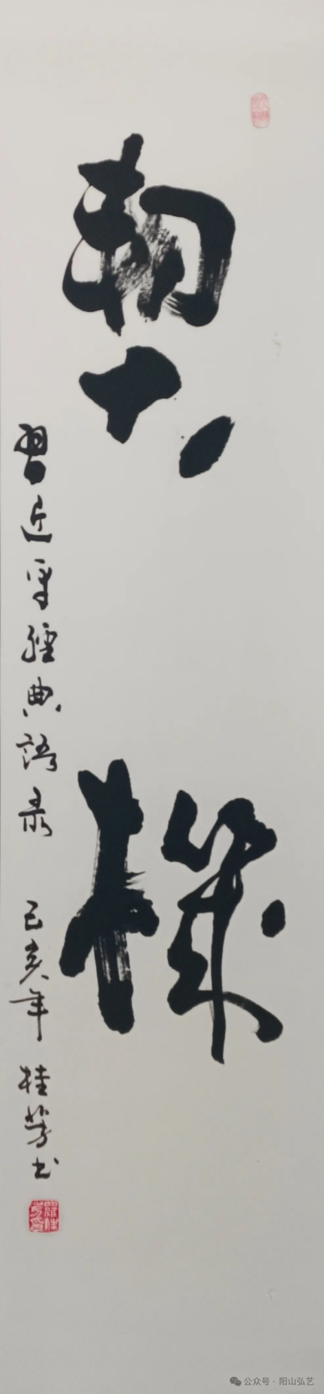 12 12.jpg?v=1772870153787