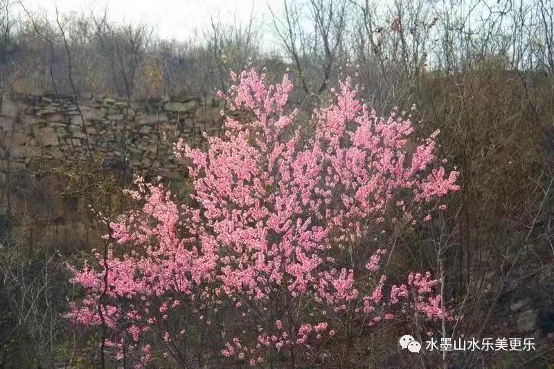 微信图片_20210404213955