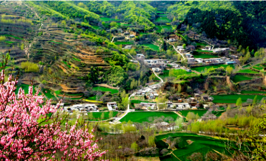 1681889162941 1681889162941.png