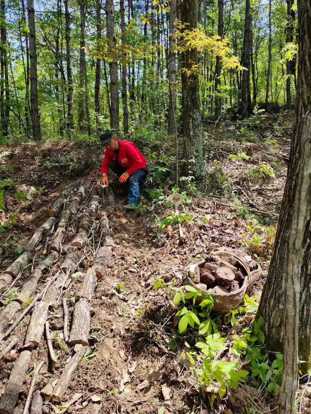 微信图片_202104280102081 微信图片_202104280102081.jpg