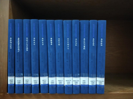 image image.png?v=1764903784588