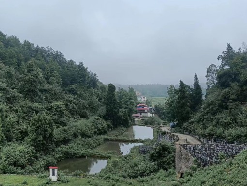 图片 5 图片 5.jpg