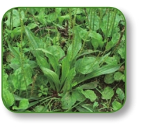 pagenumber_ebook=116,pagenumber_book=103