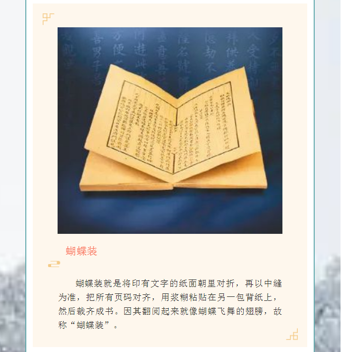image.png?v=1754275719565