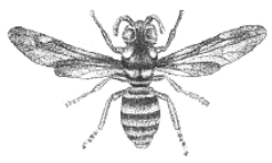 pagenumber_ebook=22,pagenumber_book=6