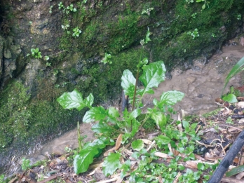 pagenumber_ebook=222,pagenumber_book=206