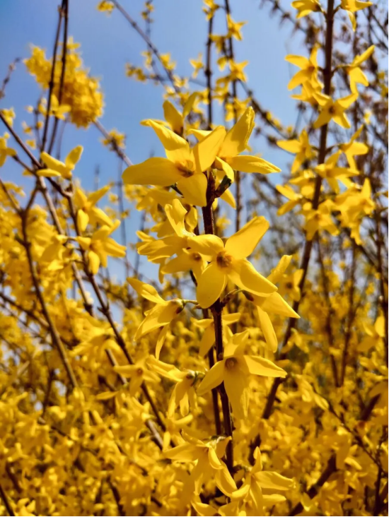 image image.png?v=1770185954788