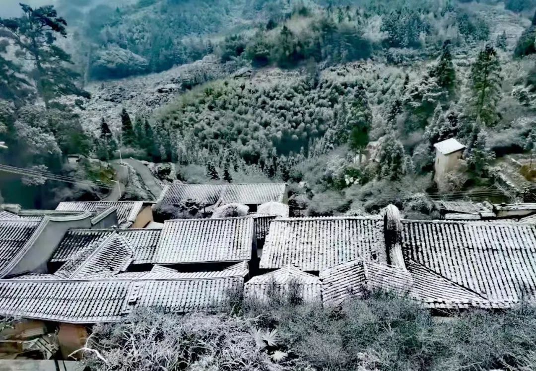 微信图片_20220225091848 微信图片_20220225091848.jpg