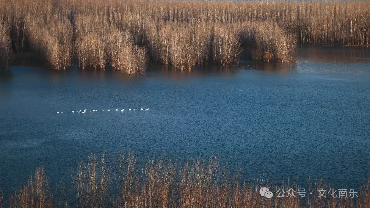 微信图片_20250206153513 微信图片_20250206153513.jpg