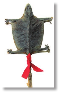 pagenumber_ebook=271,pagenumber_book=258