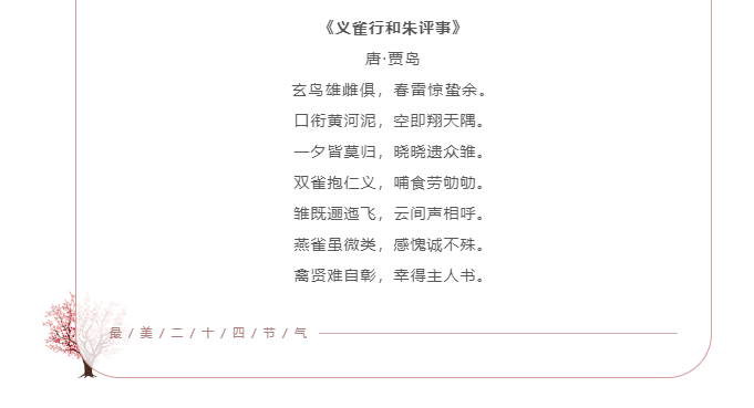 image.png?v=1750230774752