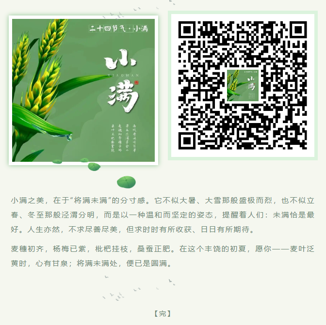 image.png?v=1780832900752