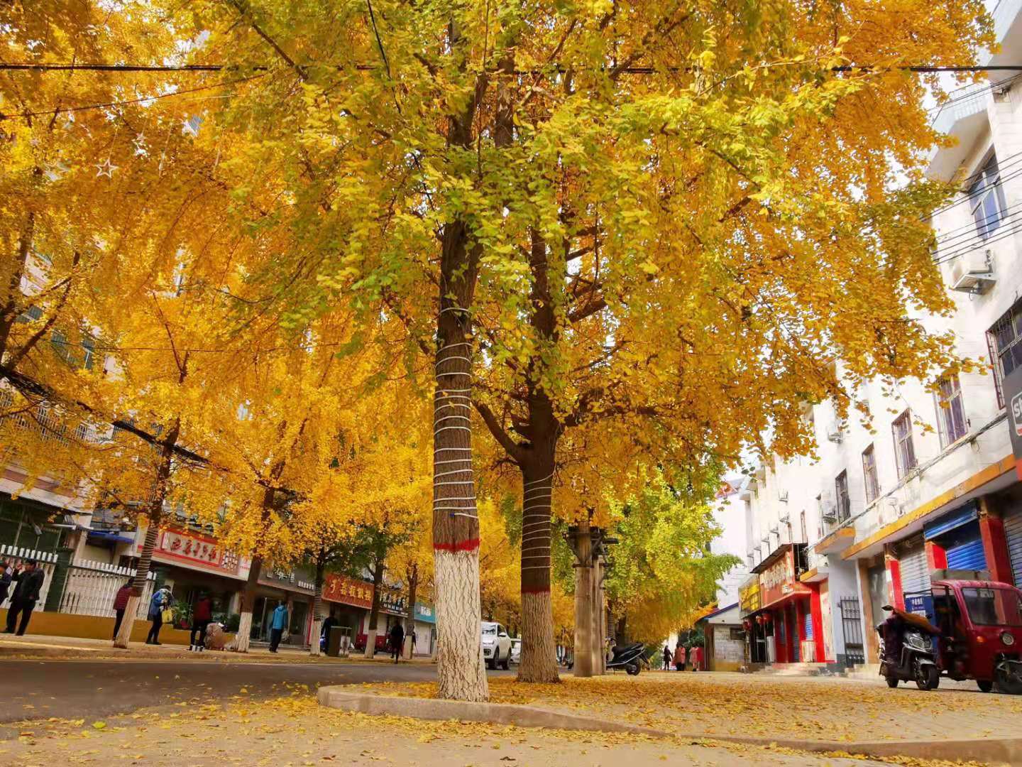 2d45a068a7576f562bdb463b3f0eeeb